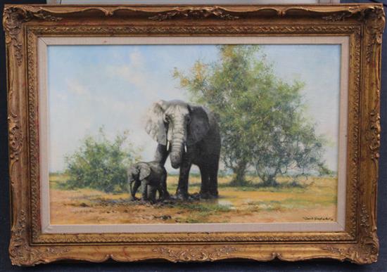 § David Shepherd (1931-) Elephants and acacia, 15 x 24in.